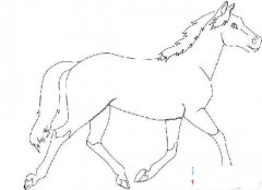 儿童骏马简笔画图片