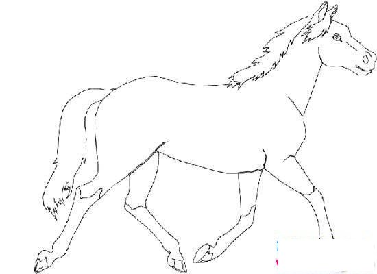 儿童骏马简笔画图片