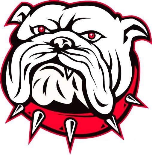 卡通恶霸犬头像简笔画彩色图片