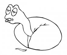 破壳的乌龟动物简笔画步骤图片大全