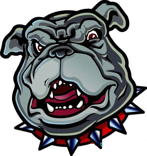 卡通恶霸犬头像简笔画彩色图片