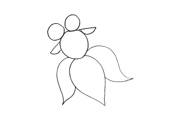 大眼金鱼简笔画