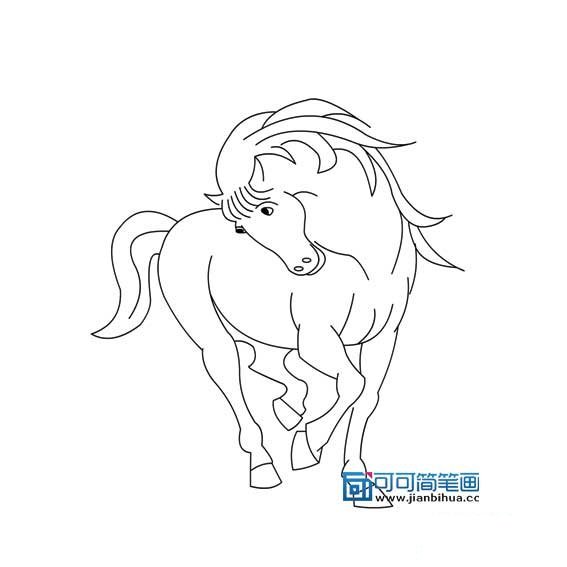 小马的简单画法画一匹骏马