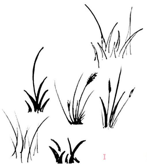 路边小草简笔画怎么画简单好看