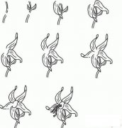 盛开的百合简笔画画法_怎么画盛开的百合