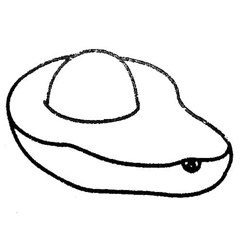 牛油果简笔画图片