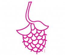 幼儿一步一步画桑葚简笔画怎么画好看