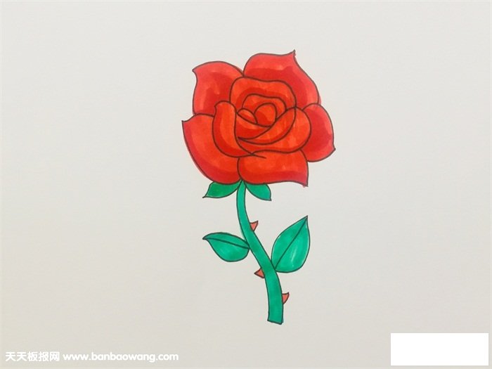 盛开玫瑰花的画法步骤