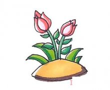 彩色月季花的画法步骤 月季花简笔画图片