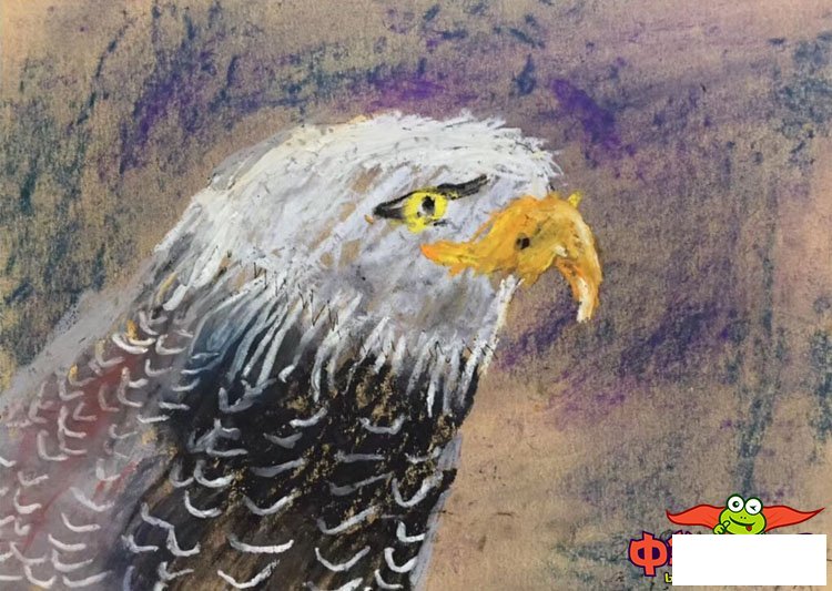 儿童画画大全简单漂亮,凶猛的鹰