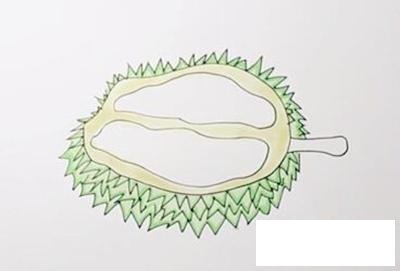 水果之王榴莲简笔画步骤图