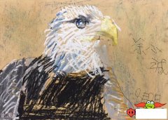 儿童画画大全简单漂亮，凶猛的鹰