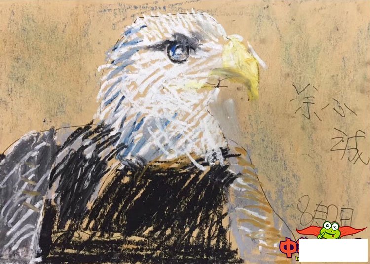 儿童画画大全简单漂亮,凶猛的鹰