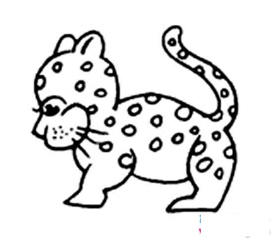 幼儿可爱小豹子简笔画图片