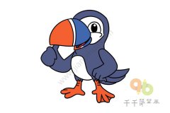 一步一步画海鹦简笔画图片