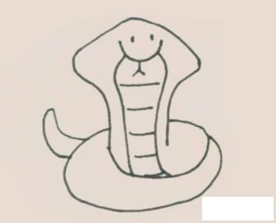 眼镜蛇简笔画