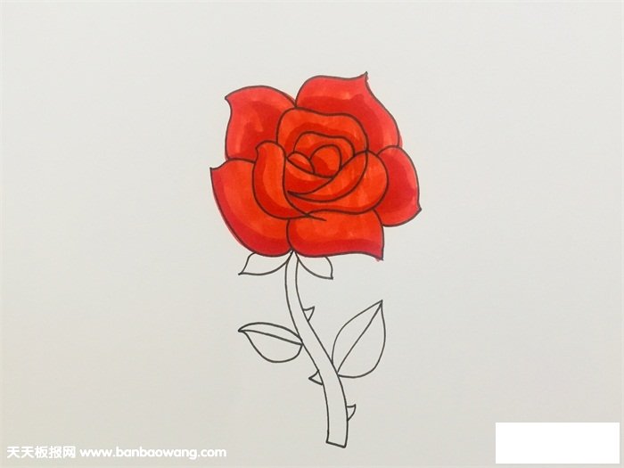 盛开玫瑰花的画法步骤