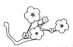 冬天的花朵简笔画画法_怎么画冬天的花朵