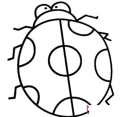 七星瓢虫简笔画，花大姐