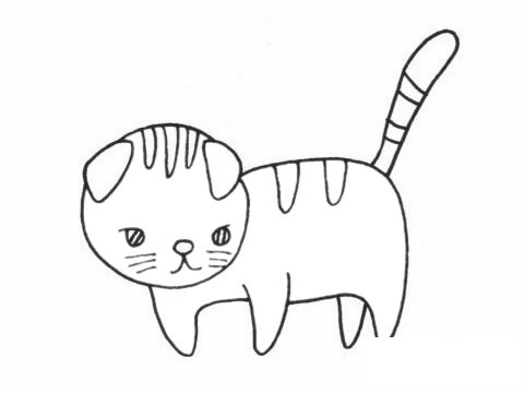 折耳猫简笔画图片