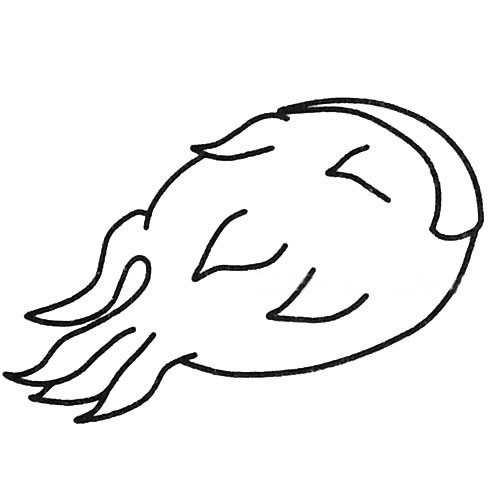 火龙果简笔画图片