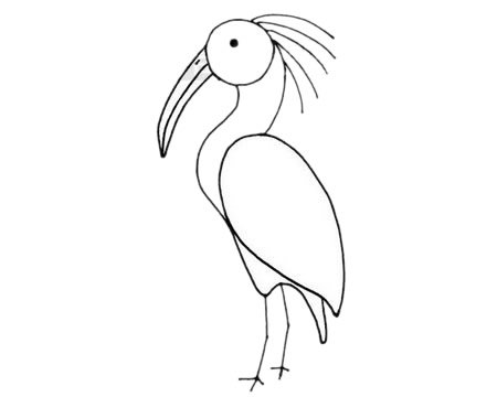 朱鹮简笔画图片