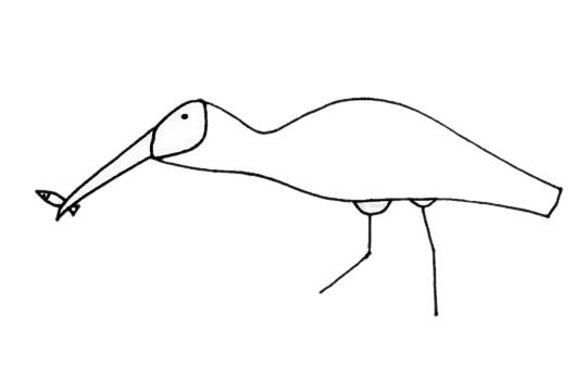 朱鹮简笔画图片