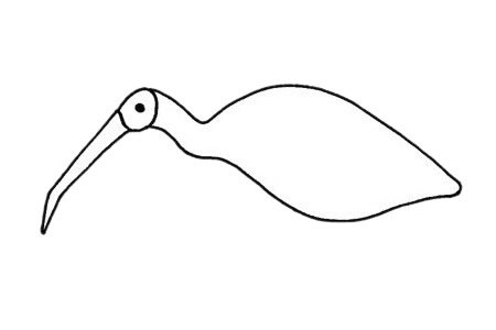 朱鹮简笔画图片