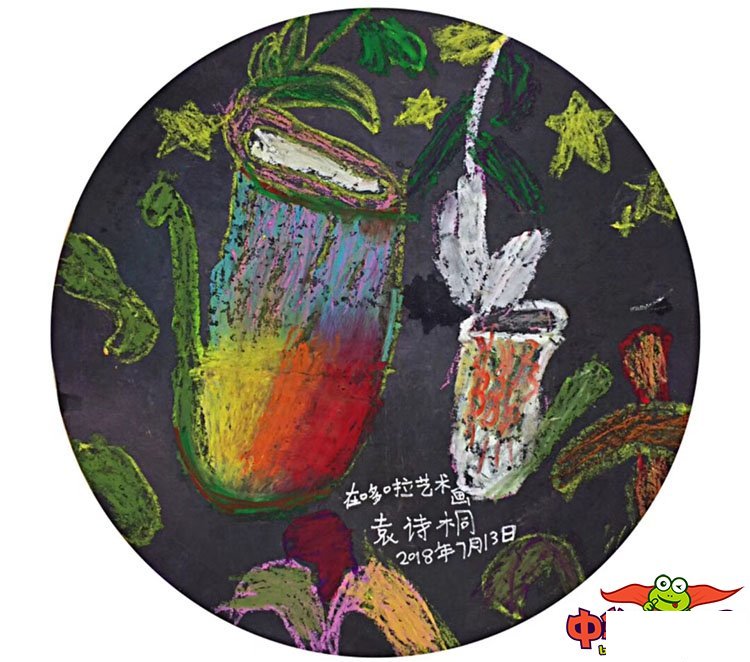 漂亮的植物儿童画作品图片,神奇捕手猪笼草