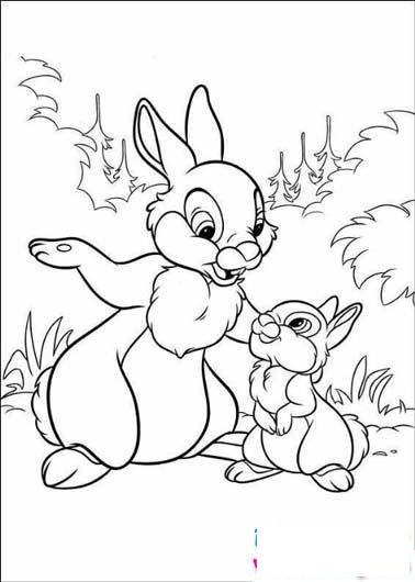 儿童简笔画：兔子妈妈与小兔