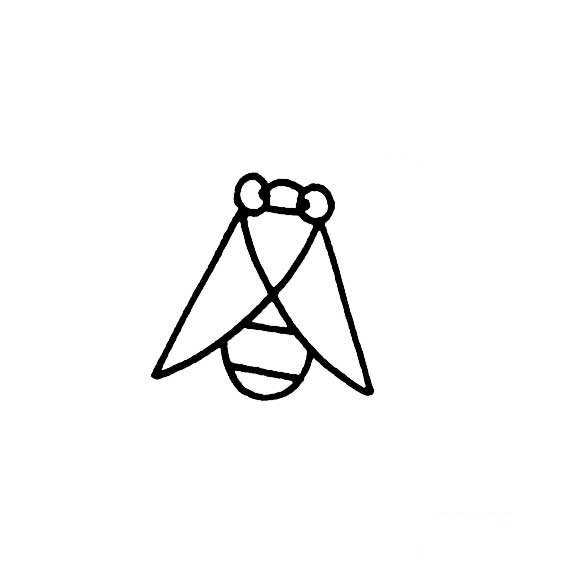 蝉知了的简单画法