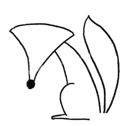 狐狸的画法简笔画步骤教程
