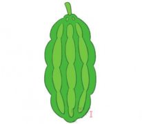 一根苦瓜的画法步骤图带颜色 苦瓜简笔画图片