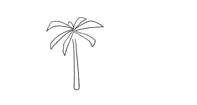 椰岛上的椰树简笔画