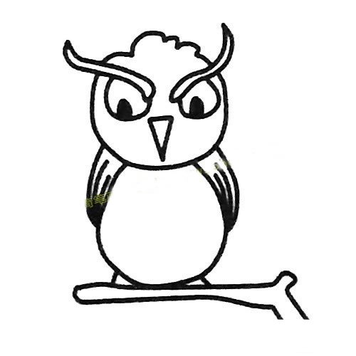 猫头鹰的画法简笔画步骤教程