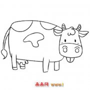 动物简笔画:新西兰奶牛