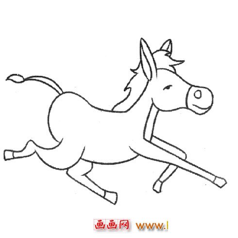 奔跑的小牛（动物简笔画）