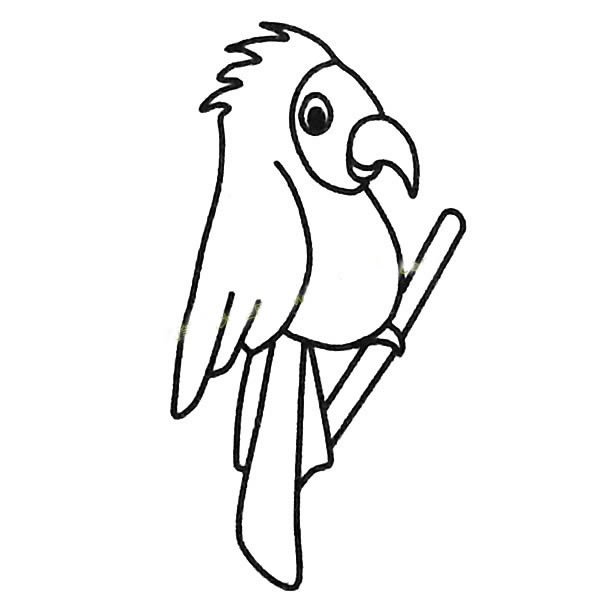 鹦鹉简笔画图片