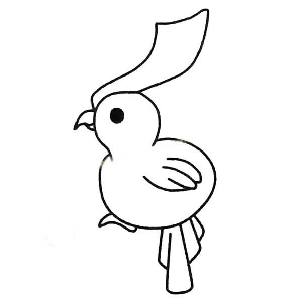 鹦鹉简笔画图片