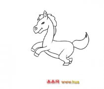 奔跑的小马（简笔画）