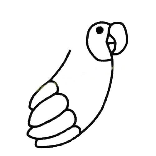 鹦鹉怎么画简笔画步骤图片