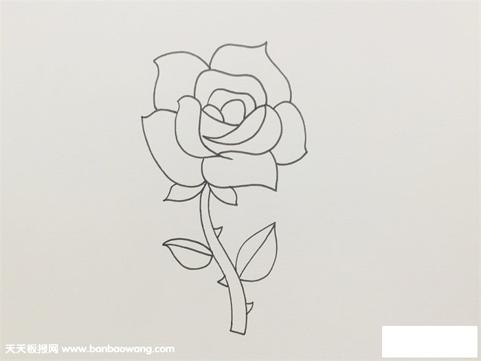 盛开玫瑰花的画法步骤