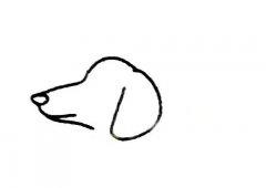 小狗简笔画画法步骤图解