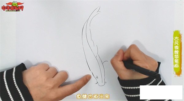 古风锦鲤简笔画