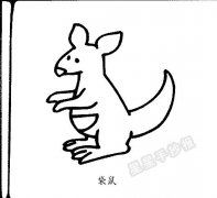 袋鼠简笔画图片步骤教程