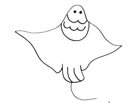 蝙蝠鱼简笔画图片大全作品四