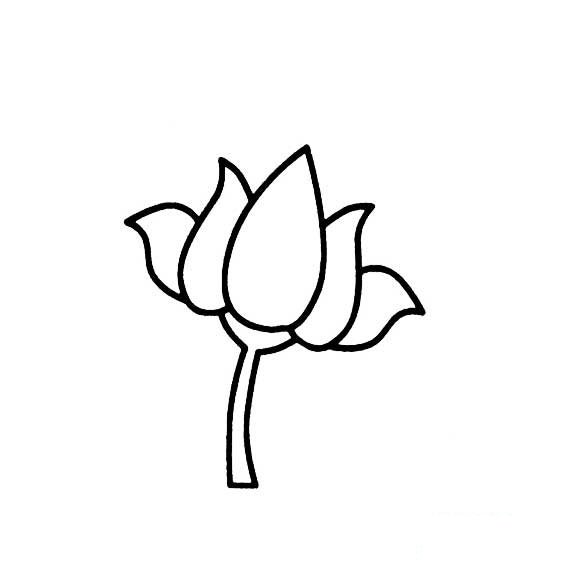 荷花的花朵花瓣画法