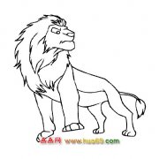 高大的狮子简笔画1