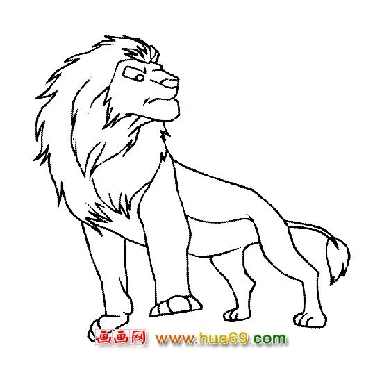 高大的狮子简笔画1