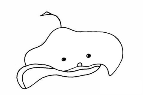 蝙蝠鱼简笔画图片大全作品二